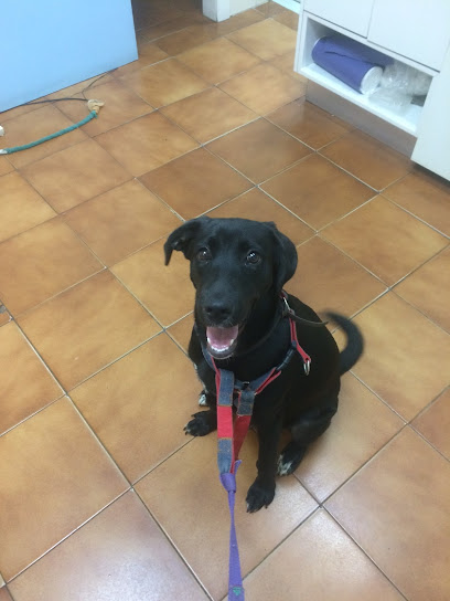 Centro Veterinario CPG en Torrente