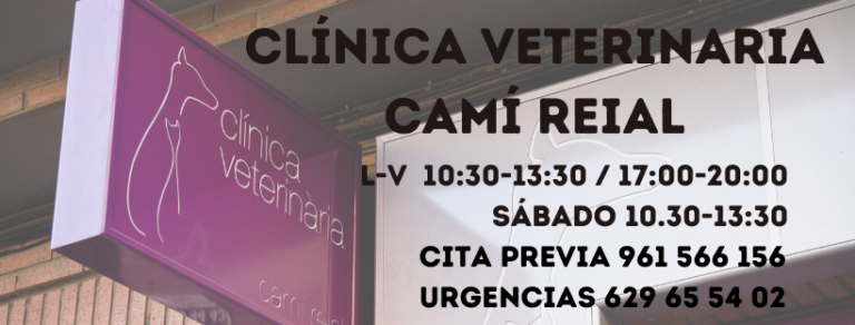 Clínica Veterinaria Camí Reial en Torrente