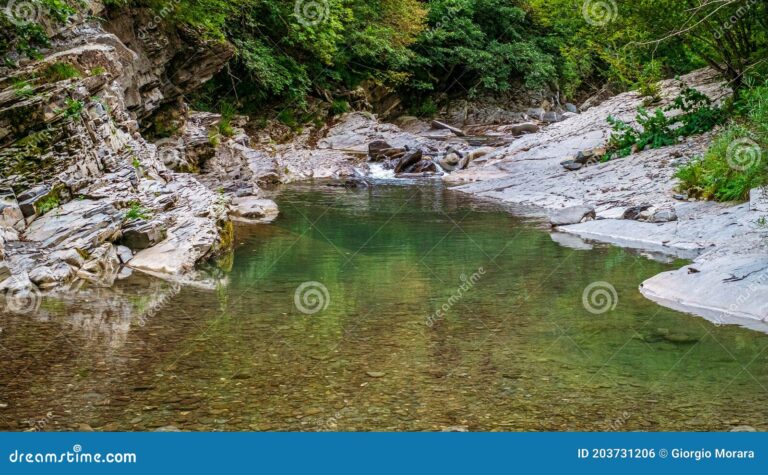 Fresc I Verd’ en Torrente