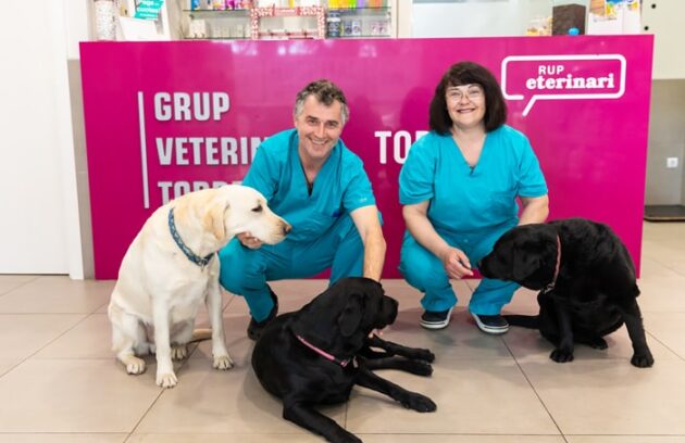 Hospital Veterinario en Torrente