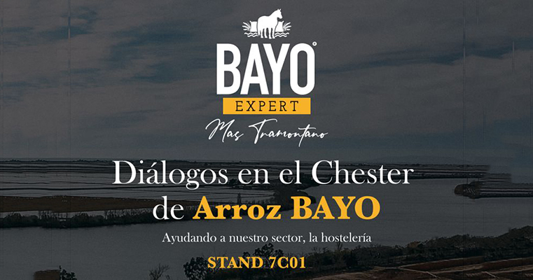 Miguel Bayo -AUTO BAYO en Torrente